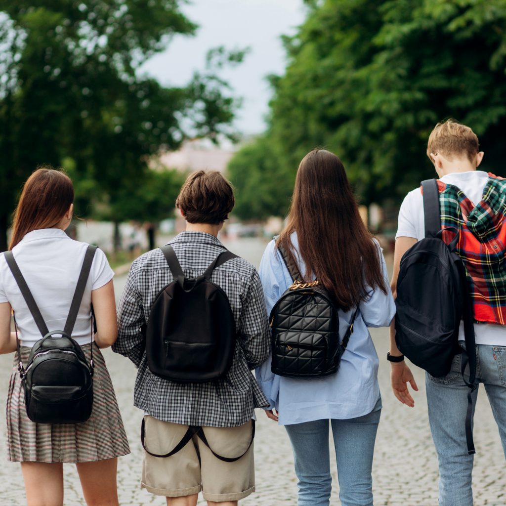 Visites escolars adolescents guiades