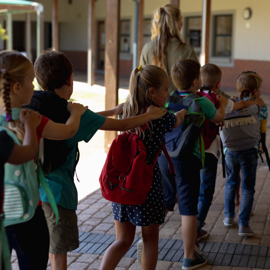 Visites escolars guiades